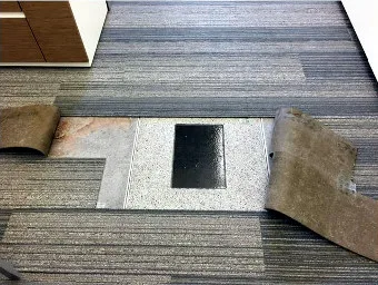 Antenas Wi-Fi disimuladas