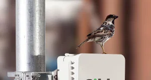 Radio V-band