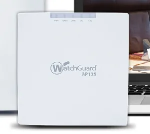 Punto de acceso 802.11ac Wave 2