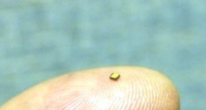 Chip láser en miniatura de OptiPulse como alternativa a las microondas