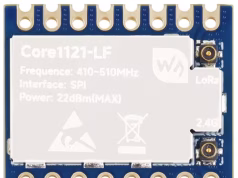 Módulo LoRa multibanda Core1121 con orificios pasantes y bordes castellados